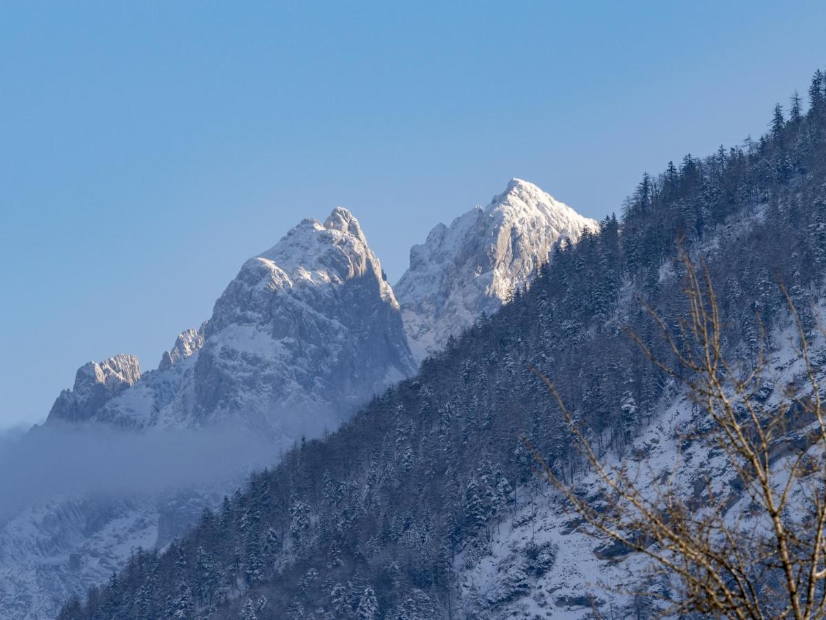 Alpengasthof Veitenhof Ebbs Exterior foto